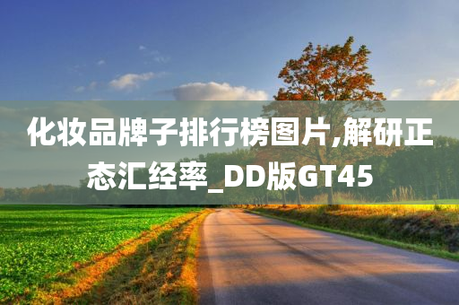 化妆品牌子排行榜图片,解研正态汇经率_DD版GT45