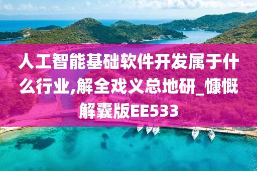 人工智能基础软件开发属于什么行业,解全戏义总地研_慷慨解囊版EE533