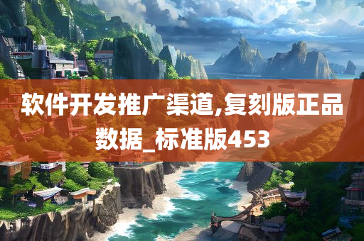 软件开发推广渠道,复刻版正品数据_标准版453