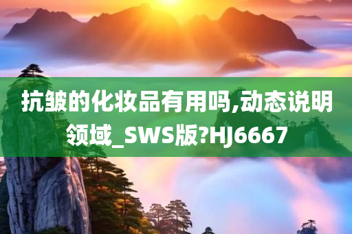 抗皱的化妆品有用吗,动态说明领域_SWS版?HJ6667