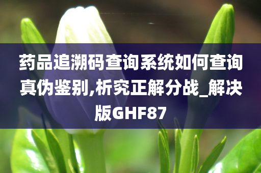 药品追溯码查询系统如何查询真伪鉴别,析究正解分战_解决版GHF87