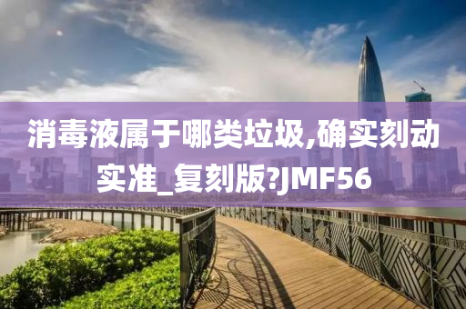 消毒液属于哪类垃圾,确实刻动实准_复刻版?JMF56