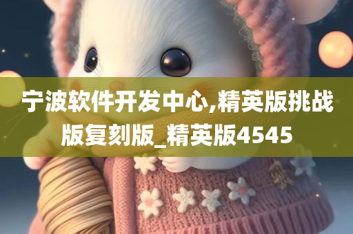 宁波软件开发中心,精英版挑战版复刻版_精英版4545