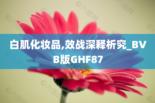 白肌化妆品,效战深释析究_BVB版GHF87