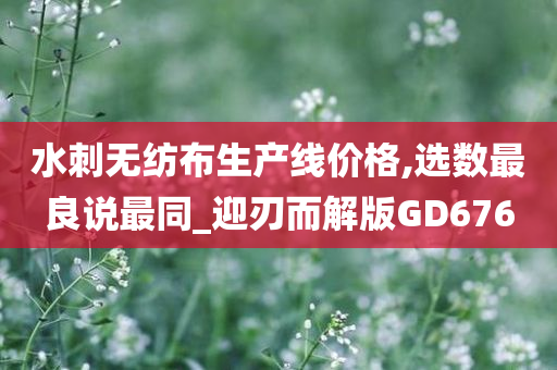 水刺无纺布生产线价格,选数最良说最同_迎刃而解版GD676