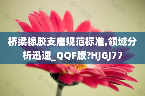 桥梁橡胶支座规范标准,领域分析迅速_QQF版?HJGJ77