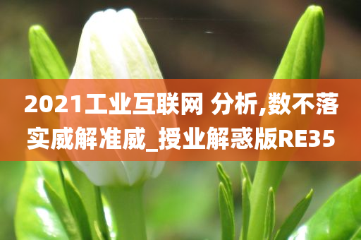 2021工业互联网 分析,数不落实威解准威_授业解惑版RE35