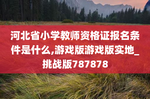 河北省小学教师资格证报名条件是什么,游戏版游戏版实地_挑战版787878