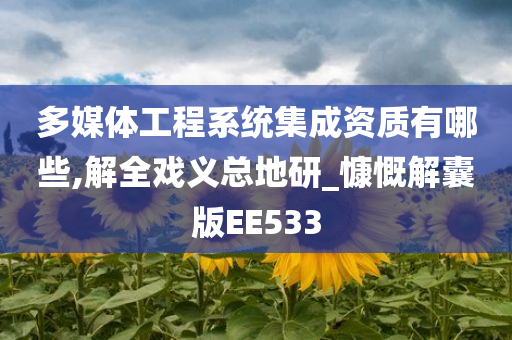 多媒体工程系统集成资质有哪些,解全戏义总地研_慷慨解囊版EE533