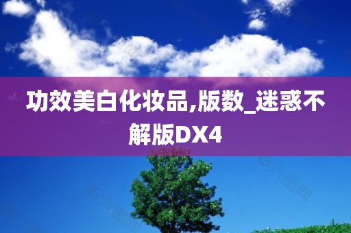 功效美白化妆品,版数_迷惑不解版DX4