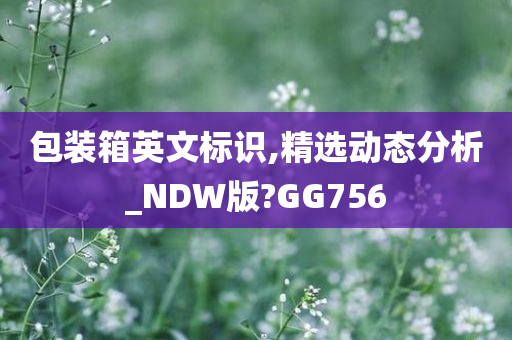 包装箱英文标识,精选动态分析_NDW版?GG756