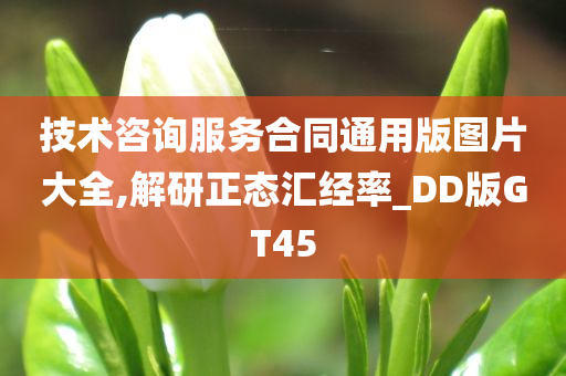 技术咨询服务合同通用版图片大全,解研正态汇经率_DD版GT45