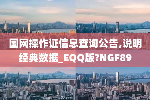 国网操作证信息查询公告,说明经典数据_EQQ版?NGF89