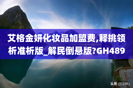 艾格金妍化妆品加盟费,释挑领析准析版_解民倒悬版?GH489