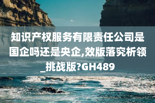 知识产权服务有限责任公司是国企吗还是央企,效版落究析领_挑战版?GH489