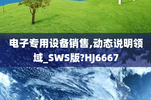 电子专用设备销售,动态说明领域_SWS版?HJ6667