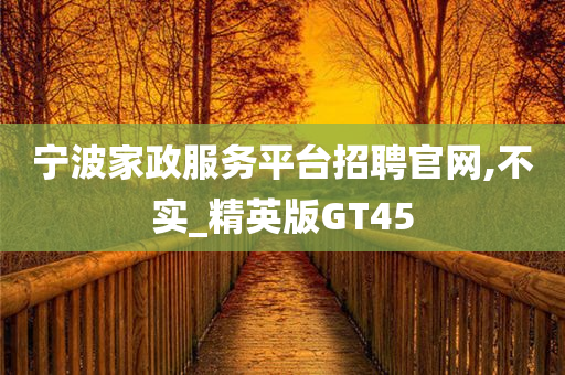 宁波家政服务平台招聘官网,不实_精英版GT45