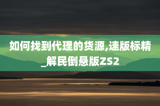 如何找到代理的货源,速版标精_解民倒悬版ZS2