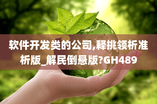 软件开发类的公司,释挑领析准析版_解民倒悬版?GH489