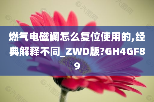 燃气电磁阀怎么复位使用的,经典解释不同_ZWD版?GH4GF89