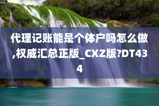 代理记账能是个体户吗怎么做,权威汇总正版_CXZ版?DT434