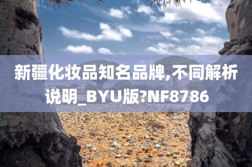 新疆化妆品知名品牌,不同解析说明_BYU版?NF8786