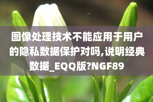 图像处理技术不能应用于用户的隐私数据保护对吗,说明经典数据_EQQ版?NGF89