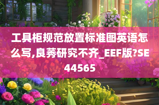 工具柜规范放置标准图英语怎么写,良莠研究不齐_EEF版?SE44565