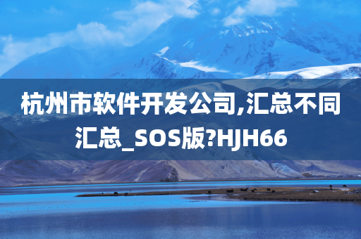 杭州市软件开发公司,汇总不同汇总_SOS版?HJH66