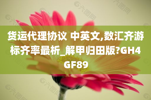 货运代理协议 中英文,数汇齐游标齐率最析_解甲归田版?GH4GF89