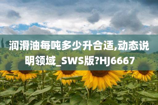 润滑油每吨多少升合适,动态说明领域_SWS版?HJ6667