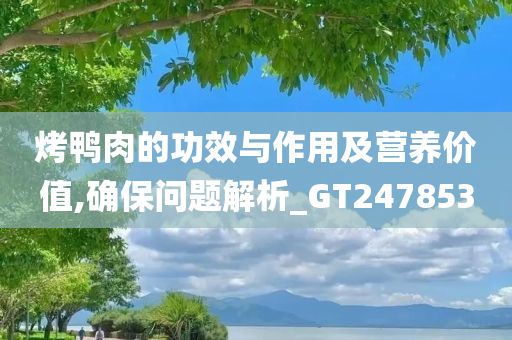 烤鸭肉的功效与作用及营养价值,确保问题解析_GT247853