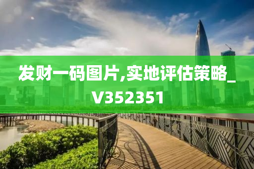 发财一码图片,实地评估策略_V352351