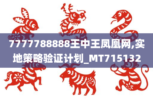 7777788888王中王凤凰网,实地策略验证计划_MT715132