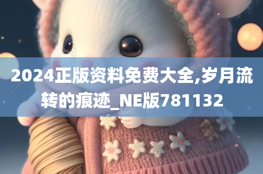 2024正版资料免费大全,岁月流转的痕迹_NE版781132