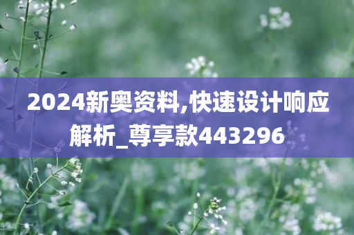 2024新奥资料,快速设计响应解析_尊享款443296