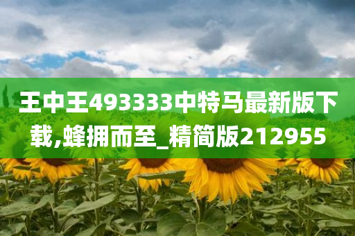 王中王493333中特马最新版下载,蜂拥而至_精简版212955