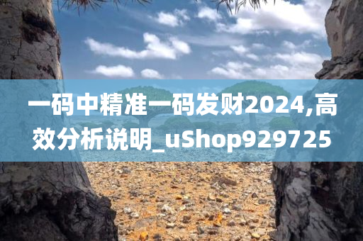 一码中精准一码发财2024,高效分析说明_uShop929725