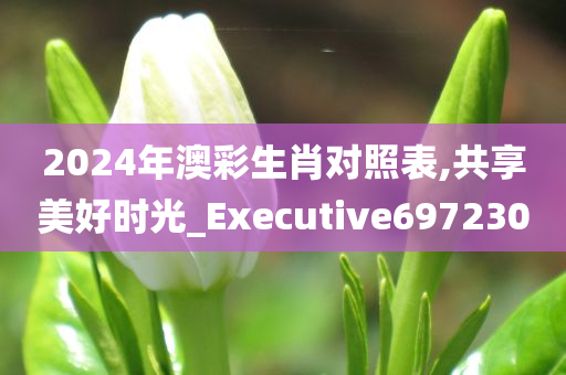 2024年澳彩生肖对照表,共享美好时光_Executive697230