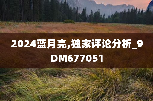 2024蓝月亮,独家评论分析_9DM677051