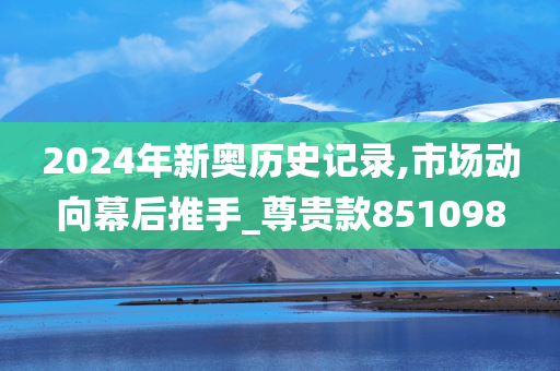 2024年新奥历史记录,市场动向幕后推手_尊贵款851098