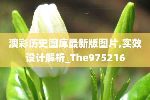 澳彩历史图库最新版图片,实效设计解析_The975216