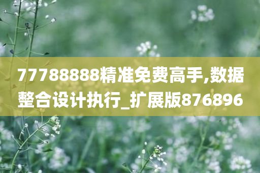 77788888精准免费高手,数据整合设计执行_扩展版876896