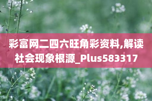 彩富网二四六旺角彩资料,解读社会现象根源_Plus583317