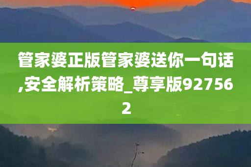 管家婆正版管家婆送你一句话,安全解析策略_尊享版927562