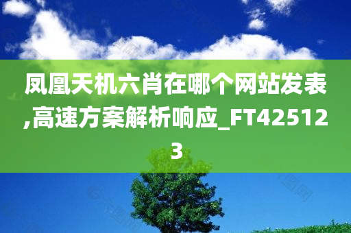 凤凰天机六肖在哪个网站发表,高速方案解析响应_FT425123