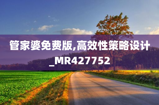 管家婆免费版,高效性策略设计_MR427752