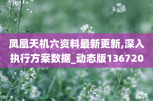 凤凰天机六资料最新更新,深入执行方案数据_动态版136720