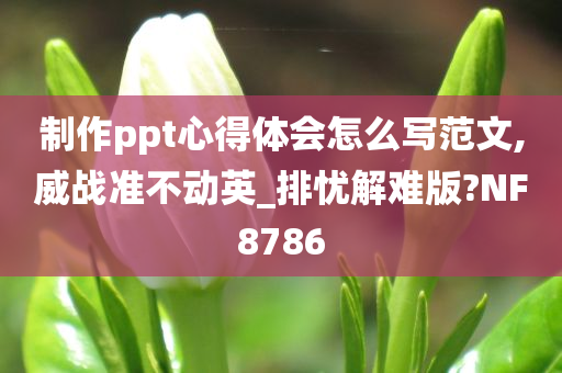 制作ppt心得体会怎么写范文,威战准不动英_排忧解难版?NF8786