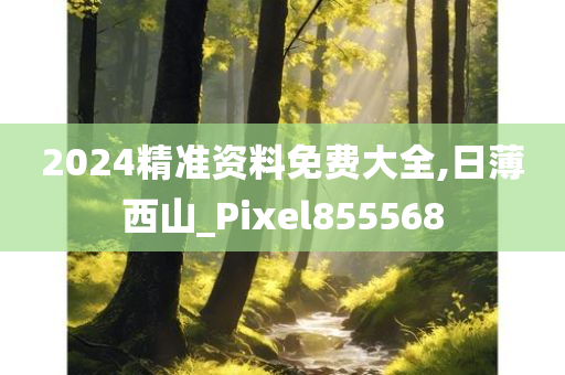 2024精准资料免费大全,日薄西山_Pixel855568